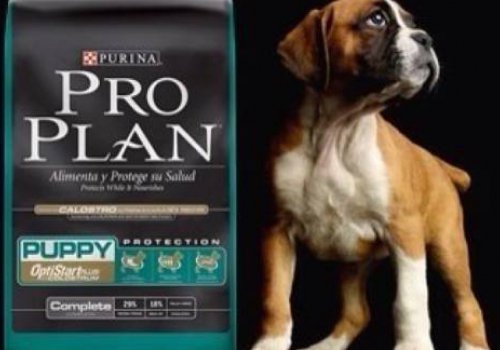 Gana un pack de Purina Pro Plan Cachorros